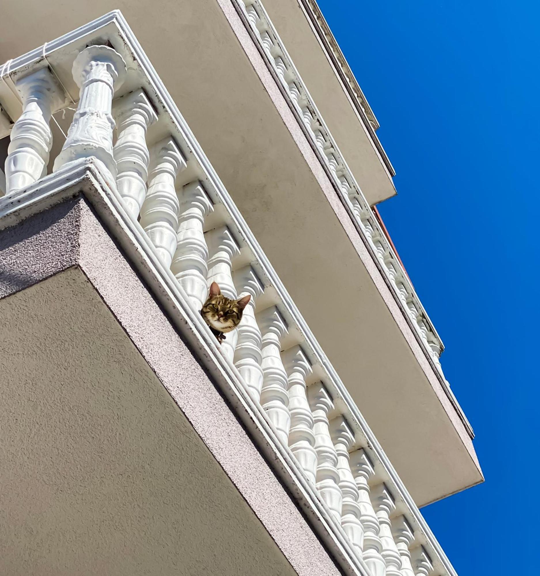 Northgate Apart-Villa شكودر المظهر الخارجي الصورة